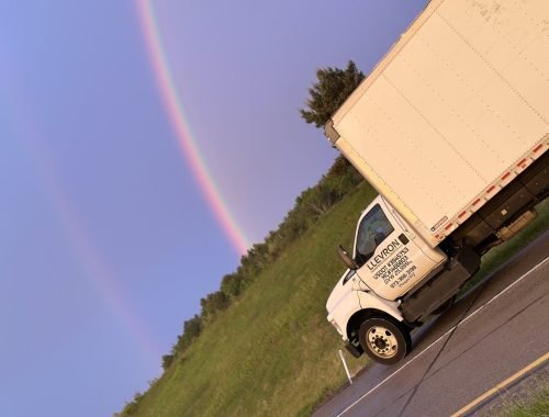 D1DE03F5-05D6-4785-86B1-60676E307738